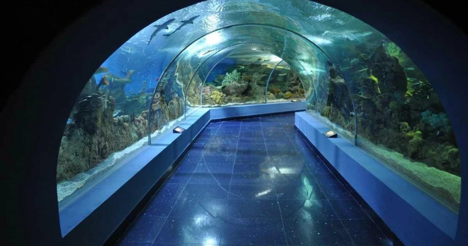 Best 10 Places to Visit in Jeddah